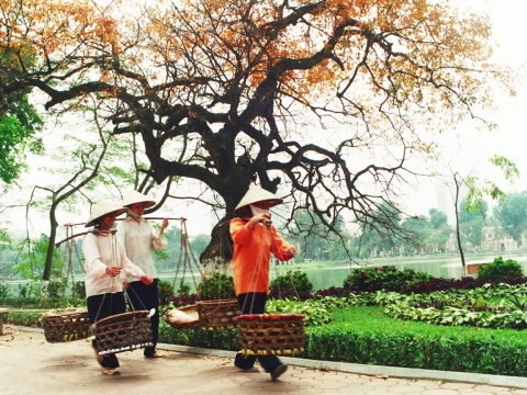 Northeast Vietnam Adventure 13 Days
